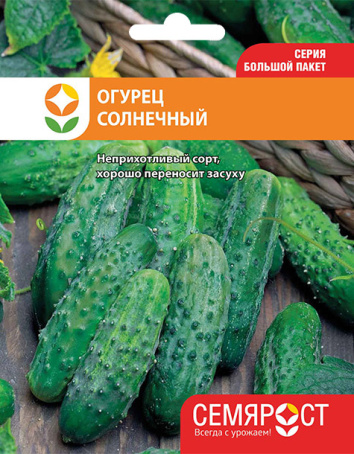 ogurec-solnechnyi-semrost-126-05-ru