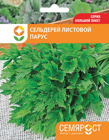 selderei-parus-semrost-131-05-ru
