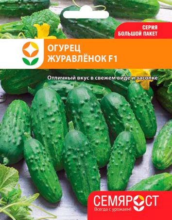 ogurec-zhuravlenok-semrost-69-04-ru-1