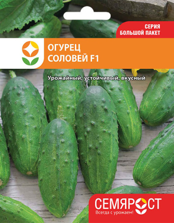 ogurec-solovey-F1-semrost-115-05-ru