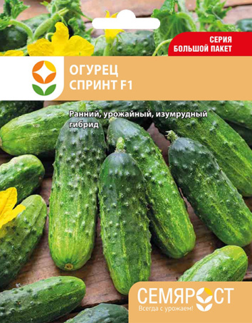 ogurez sprint f1 semrost-172-05-ru копия копия