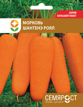 morkov-shantane-royal-semrost-102-05-ru