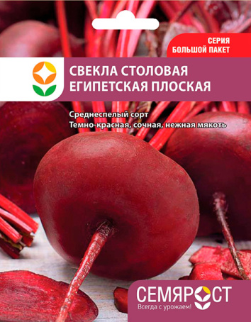 svekla egipetskay ploskay semrost-49-04-ru.indd-1