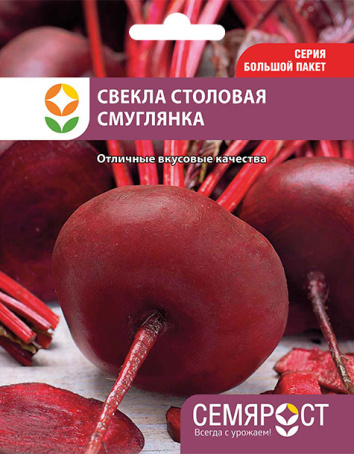 svekla-smuglaynka-semrost-100-05-ru