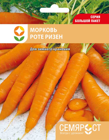 morkov rote rizen semrost-152-05-ru копия копия
