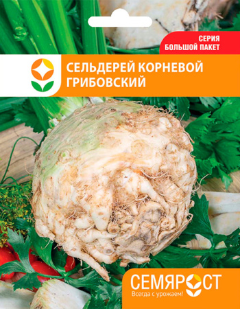 selderei gribovskii semrost-53-04-ru-1