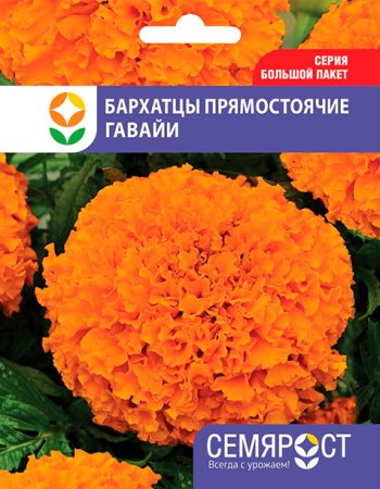 barhatcu gavaii semrost-89-03-ru.indd-1