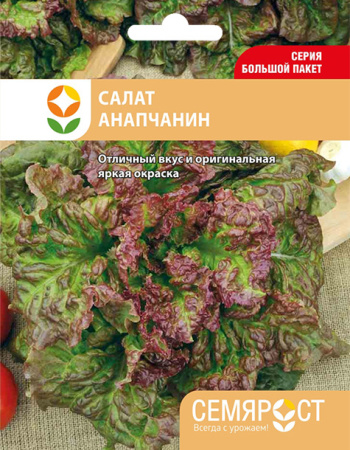 salat anapchanin semrost-155-05-ru копия копия