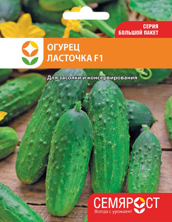 ogurec-lastochka-F1-semrost-116-04-ru