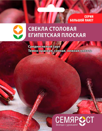svekla egipetskay ploskay semrost-49-04-ru.indd-1