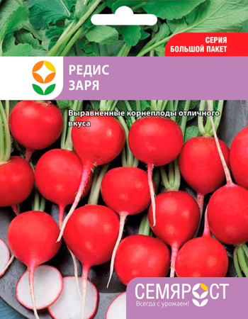 redis zary semrost-43-04-ru.indd-1